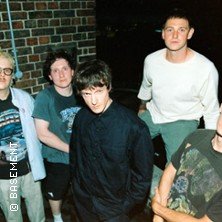 Basement + Fiddlehead + Guest