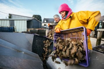 "DE SEL ET DE VIE, FEMMES DE LA MER" - Exposition photographique