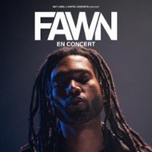 Fawn