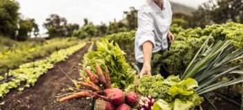 1h pour comprendre...agriculture et alimentation - 19/02/26