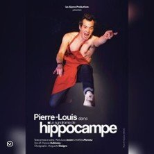 Pierre-Louis Jozan - Le Syndrome de l'Hippocampe