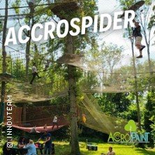 Place D'Accrospider