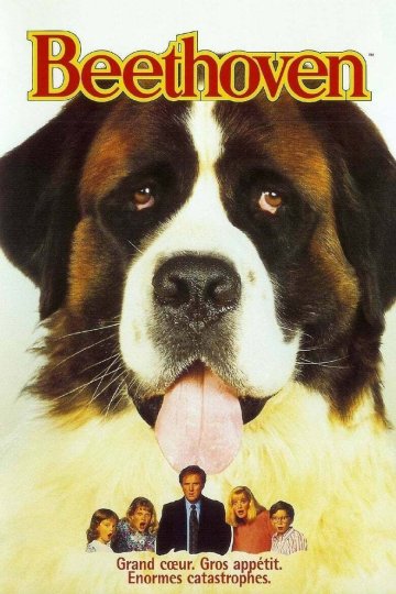 Séance Dog Friendly : Beethoven