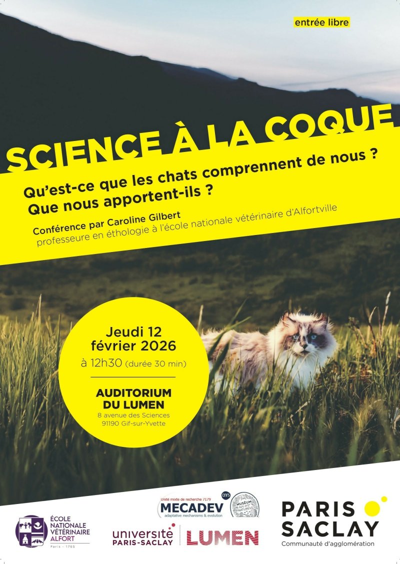 Science à la coque : Qu’est-ce que les chats comprennent de nous ? Qu’est-ce qu’ils nous apportent ?