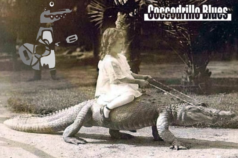 Coccodrillo Blues en concert au Gazette Café