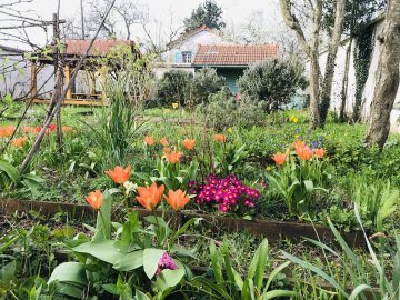 Visite du jardin et atelier nichoir