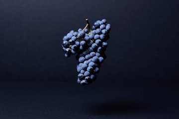 Les Rendez-vous du Château Haut-Bailly