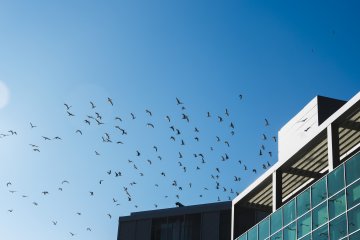 Bâtir en préservant la nature, est-ce possible ?