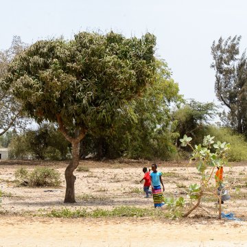 Tatiana Giraud - Effondrement de la biodiversité : quelles conséquences pour les sociétés humaines ?