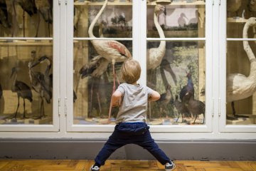 Création de poésie à hauteur des tout-petits / Atelier participatif autour des tapis sensoriels