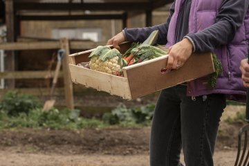 Alimentation locale et démocratie alimentaire