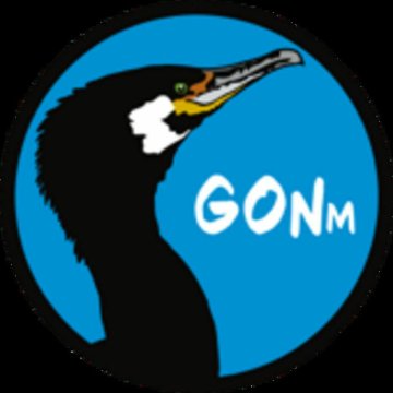 CAEN/14 : AG GONm