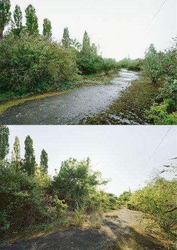 Exposition - Les sauvages