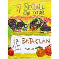 Ty segall