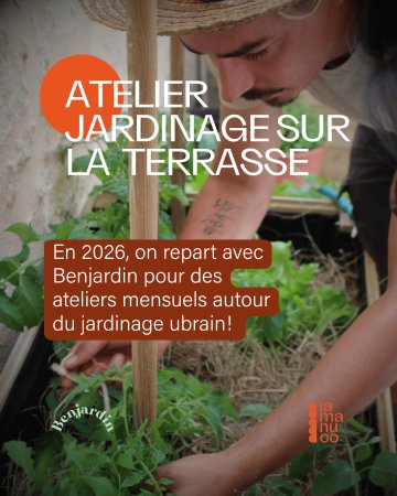 Atelier jardinage : tout comprendre des semis de légumes