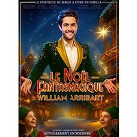 Le noel fantasmagique william arribart