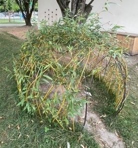 Installations végétales - Land Art