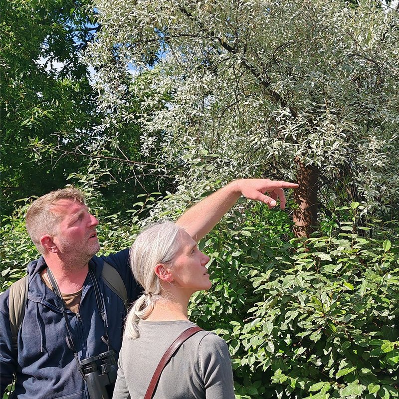 Balade Nature "Votre quartier au printemps" / à la Pouponnière