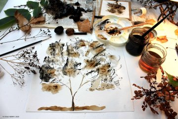 COMPLET Vert par Nature : encre d’arbre