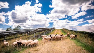 Agrivoltaics: definition, challenge and implementation - A multidisciplinary and international approach