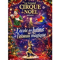 Le grand cirque de noel
