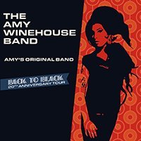 The amy winehouse band