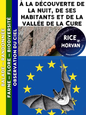 MORVAN - A la découverte de la nuit, de ses habitants et de la vallée de la Cure