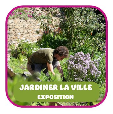 Exposition : Rocher des Doms : une histoire de jardin