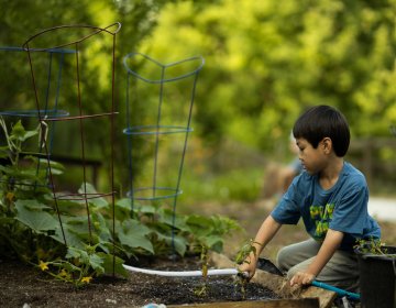 Atelier de jardinage : l'eau, source de vie au jardin
