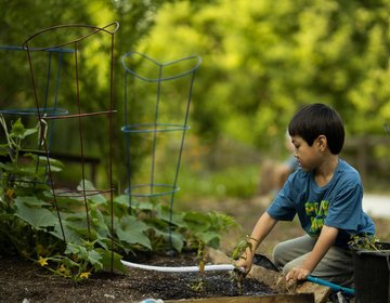 Atelier de jardinage : l'eau, source de vie au jardin