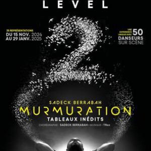 MURMURATION LEVEL 2