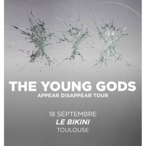 THE YOUNG GODS