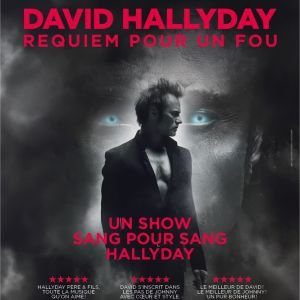 DAVID HALLYDAY