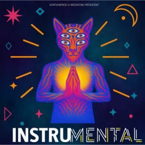 INSTRUMENTAL