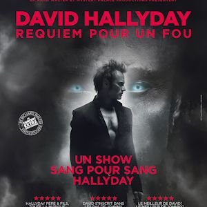 DAVID HALLYDAY