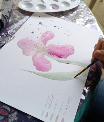 Atelier de curiosité : Dessin végétal