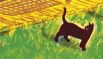 4 animaux 4 couleurs