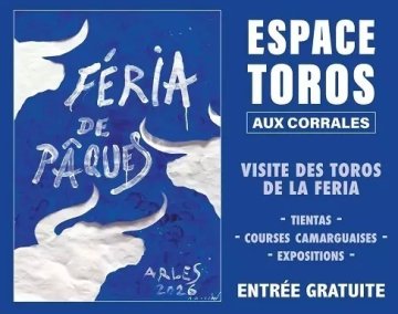 Espaces toros