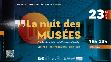 À la lumière de la nuit, l'histoire s'éveille