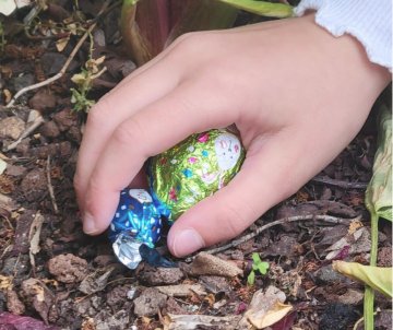 Chasse aux œufs