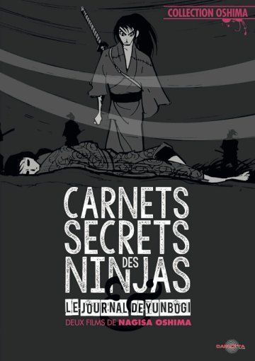 CARNETS SECRETS DES NINJAS