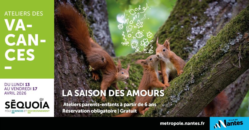 Atelier enfants-parents : la saison des amours