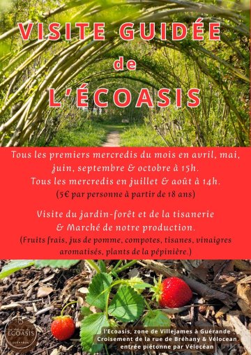 Visite guidée de l'Ecoasis