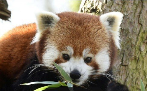 A la découverte du zoo