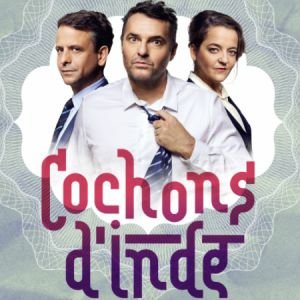 COCHONS D'INDE