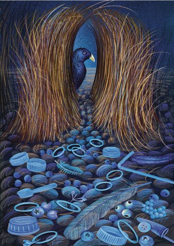 Exposition À la loupe : petites curiosités et collections d'Isabelle Simler