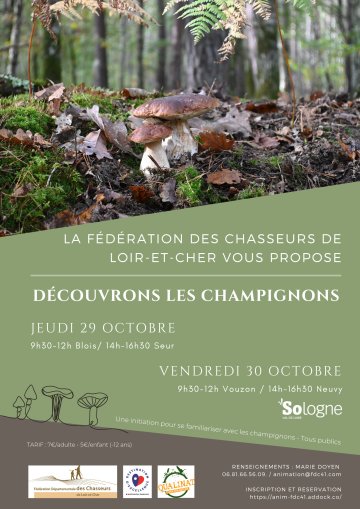 Instants Nature - Découvrons les champignons à Blois