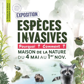 Exposition "Espèces invasives, Pourquoi ? Comment ?" à la Maison de la Nature.