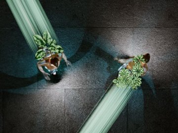 À l’écoute du vivant. Biomimétisme, entre arts et sciences