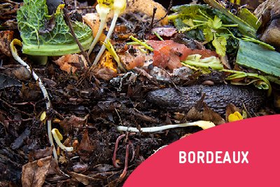 Initiation au compostage
